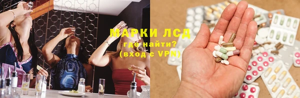 гашик Дмитров