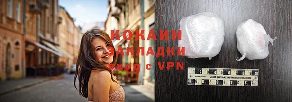 ПСИЛОЦИБИНОВЫЕ ГРИБЫ Дмитриев
