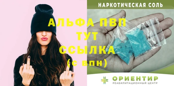 ПСИЛОЦИБИНОВЫЕ ГРИБЫ Дмитриев