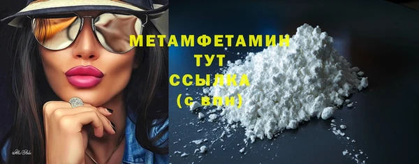 индика Елабуга