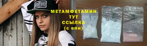 индика Елабуга