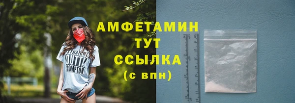 гашик Дмитров