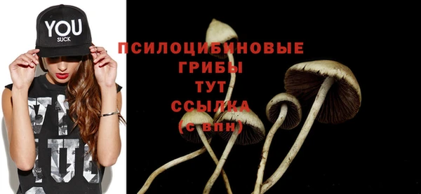 a pvp Елизово