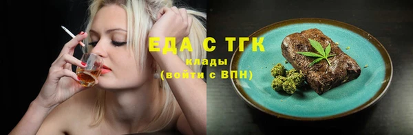индика Елабуга
