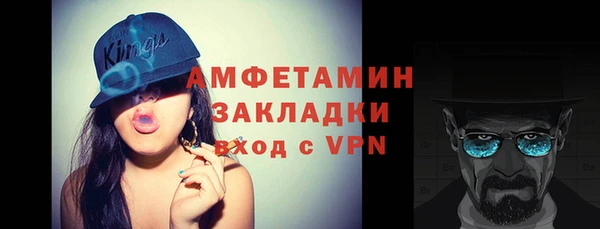 индика Елабуга