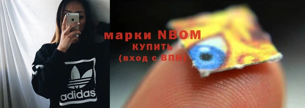 индика Елабуга