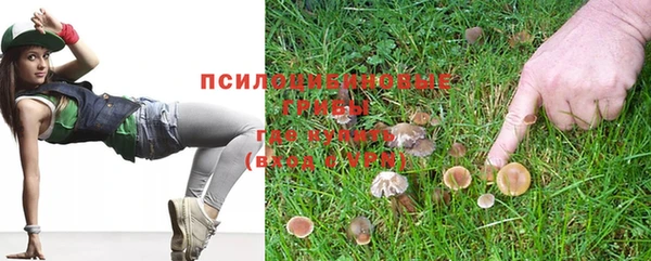 индика Елабуга