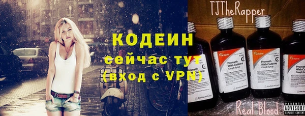 индика Елабуга