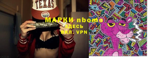 индика Елабуга