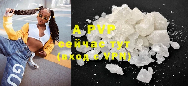 индика Елабуга