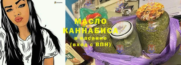 гашик Дмитров