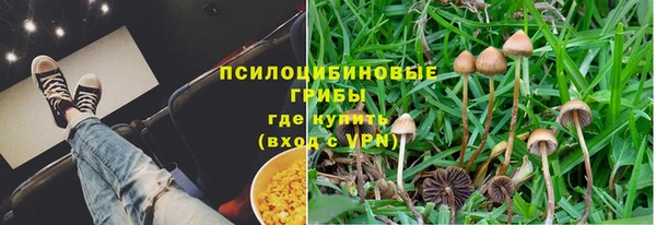 ПСИЛОЦИБИНОВЫЕ ГРИБЫ Дмитриев