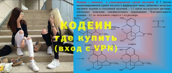 ПСИЛОЦИБИНОВЫЕ ГРИБЫ Дмитриев