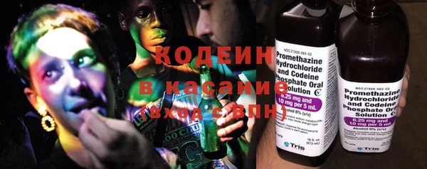 молекула духа Гусиноозёрск