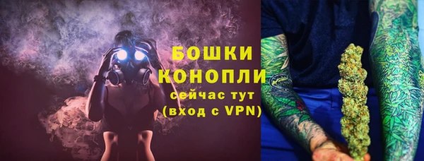 гашик Дмитров