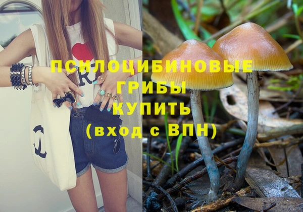 ПСИЛОЦИБИНОВЫЕ ГРИБЫ Дмитриев