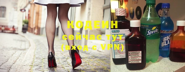 ПСИЛОЦИБИНОВЫЕ ГРИБЫ Дмитриев